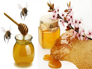 Мёд и пчёлы