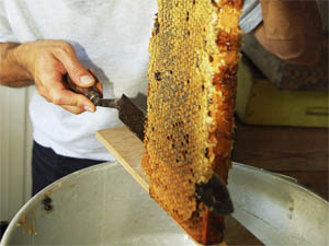 Подрезка меду